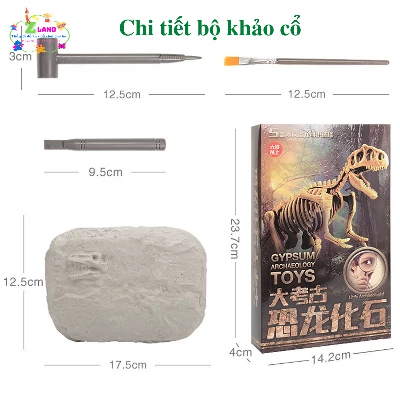 Đồ chơi khảo cổ học cho bé đi tìm những mảnh ghép khủng long hoá thạch để lắp ráp thành mô hình khủng long