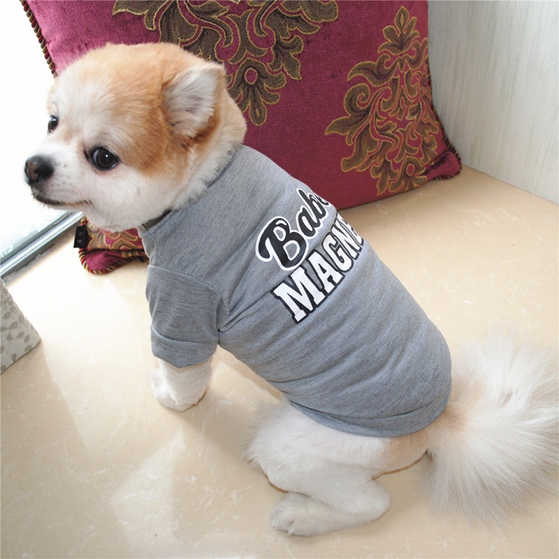 Áo Thun Dễ Thương Thời Trang Mùa Hè Cho Cún Chihuahua