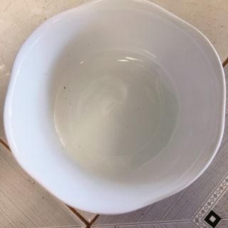 Tô số 8 bông hồng đen Ck