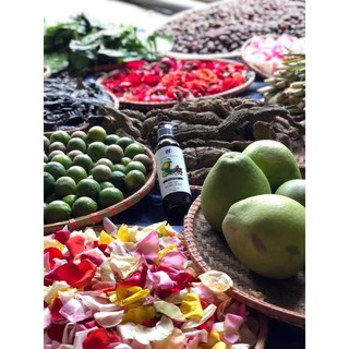 COMBO GỘI XẢ 500ML