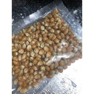 Gói 500g ngô hạt nổ bỏng mỹ