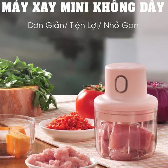 Máy xay mini cầm tay tiện lợi, dung tích 250ml, lưỡi 3 dao hợp kim chống gỉ