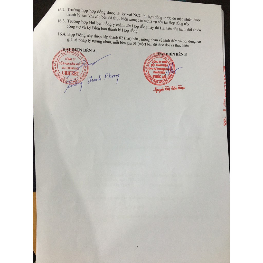 Viên bột cần tây nghệ mật ong nguyên chất sấy lạnh Cotra (Hộp 50g) giảm cân, detox cơ thể | BigBuy360 - bigbuy360.vn