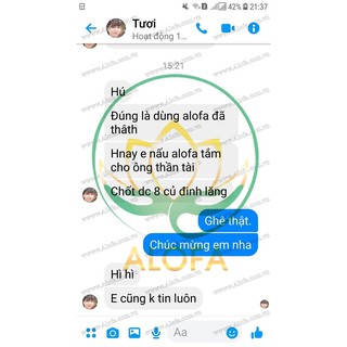 20 gói nhỏ bột phong thủy alofa