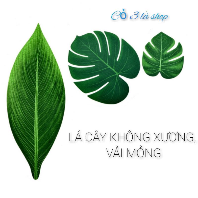 Lá rùa vải MỏNG, KHÔNG XƯƠNG phụ kiện chụp ảnh, trang trí tiệc cưới, sinh nhật