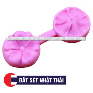 GÂN HOA ĐẤT, HOA ĐƯỜNG, XÔI HOA ĐẬU - GÂN HOA MAI, ANH ĐÀO