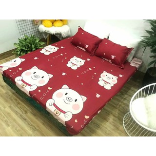 COMBO 1 GA VÀ 2 VỎ GỐI