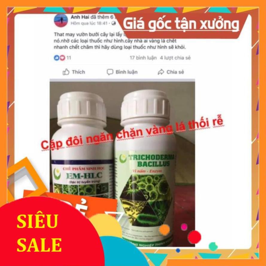 CHẾ PHẨM EM HLC ĐẶC TRỊ TUYẾN TRÙNG - THUỐC ĐẶC TRỊ VÀNG LÁ THỐI RỄ, PHÒNG TRỪ TUYẾN TRÙNG RỄ HẠI CÂY TRỒNG - CHAI 500ML