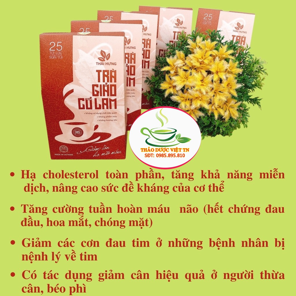 Trà Giảo Cổ Lam Thái Hưng Giúp Giảm Cân Hạ Mỡ Máu 25 Túi Lọc 125g chính hãng | BigBuy360 - bigbuy360.vn