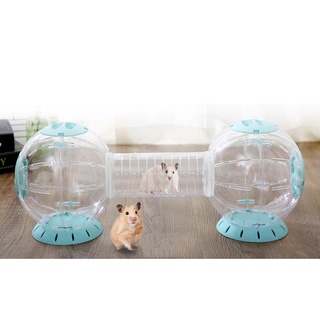 Bóng chạy mika hamster