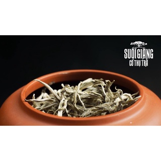 Bạch trà Shan tuyết cổ thụ Suối Giàng
