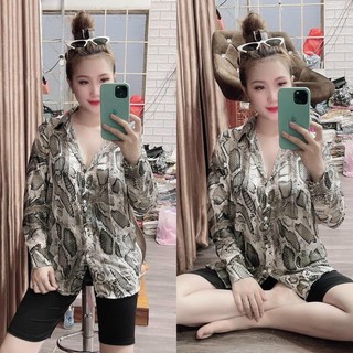 Sét bộ sơ mi rắn kèm quần thun thoáng mát