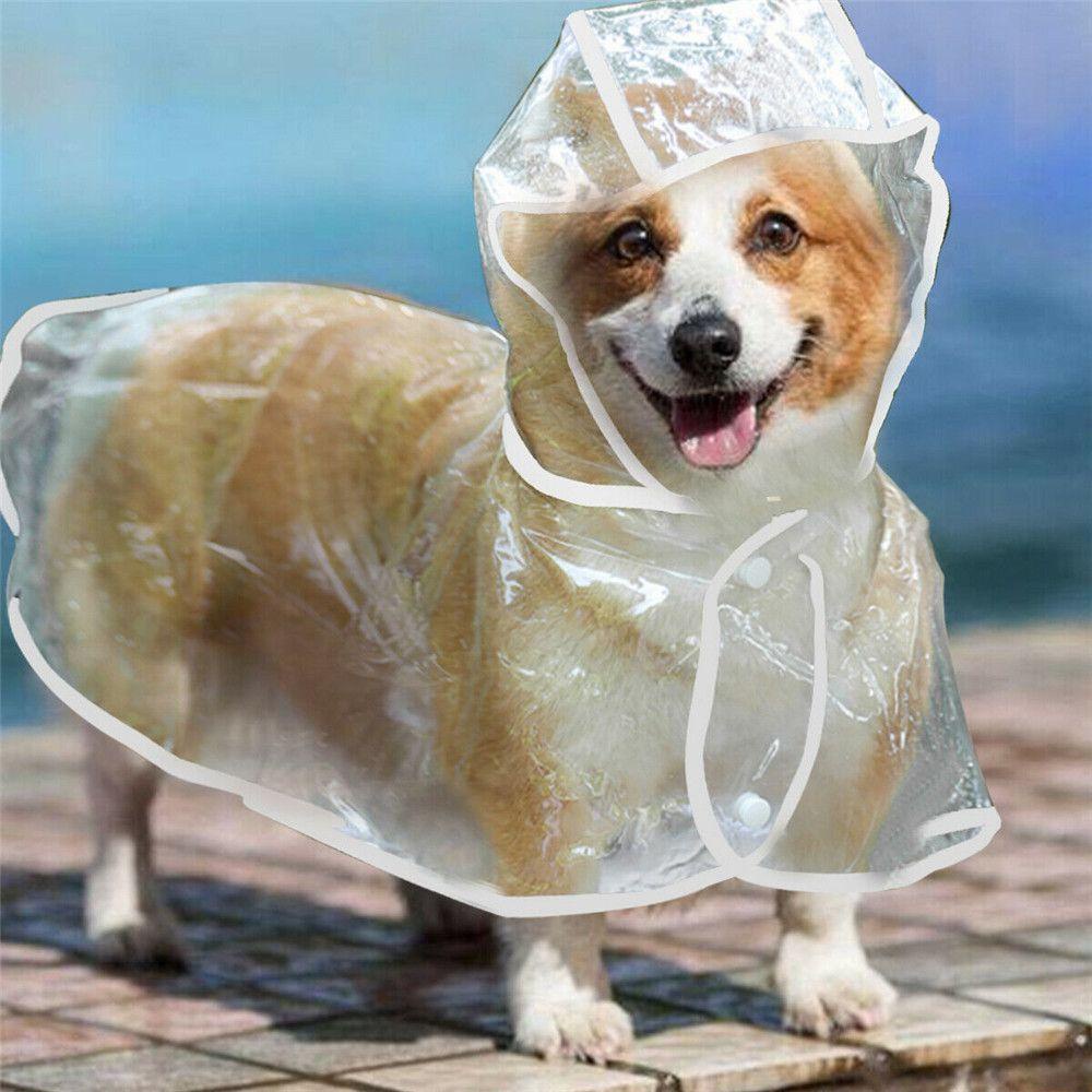 Áo Mưa Trong Suốt Có Mũ Trùm Tiện Lợi Dành Cho Cún Cưng