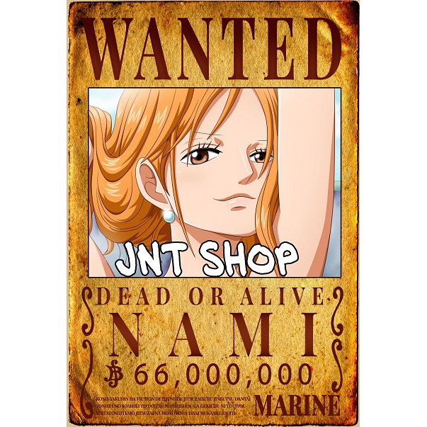 Poster Wanted Truy nã One Piece Vua Hải Tặc 51x36cm tỉ lệ vàng 1-1 trong One Piece