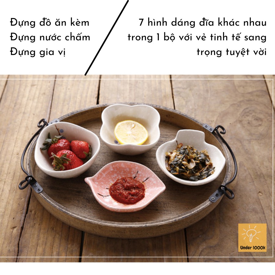 Set 7 đĩa gia vị - có hộp đựng đẹp - bát gia vị phong cách Nhật với nhiều màu xinh xắn