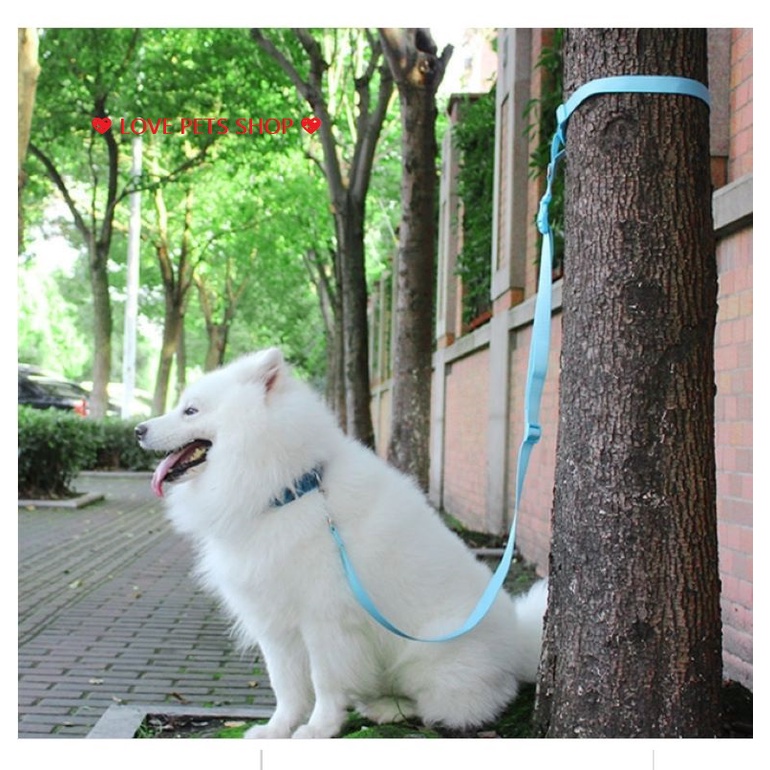 DÂY DẮT CHÓ MÈO ĐA NĂNG, DÂY DẮT CHÓ MÈO CÓ ĐAI GẮN VÀO BỤNG CHỦ NHÂN &quot;MẪU MỚI&quot; - LOVE PETS SHOP