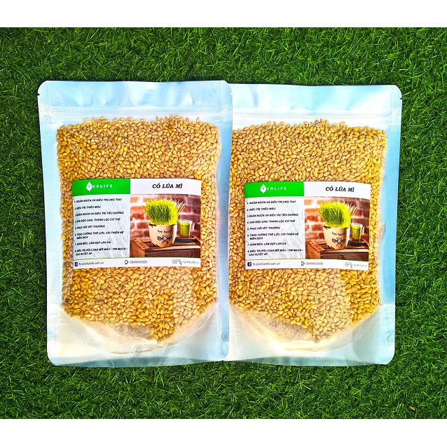 Hạt Giống Cỏ Lúa Mì [Australia]