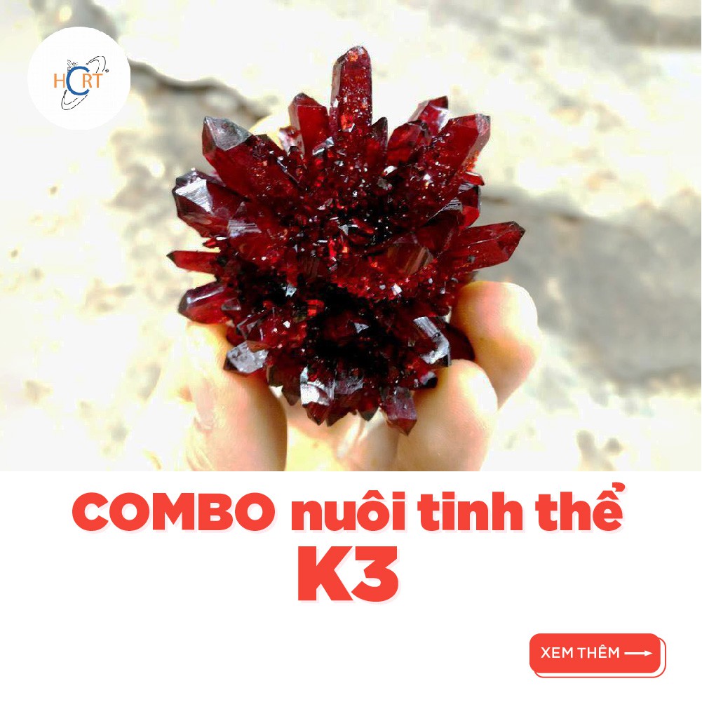 100g K3 - Combo nuôi tinh thể Kali Ferri kèm hướng dẫn | HCRT store - Tinh thể học