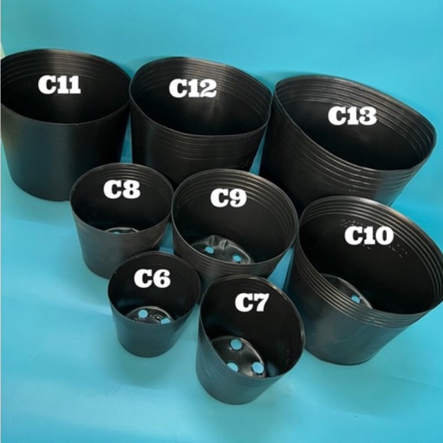 Combo 10 Chậu nhựa mềm trồng cây