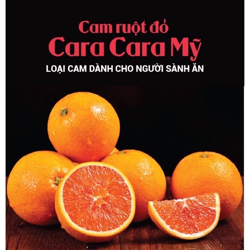 Cây giống cam Cara ruột đỏ chuẩn giống đem lại hiệu quả kinh tế cao.