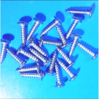 Vít dù xoắn inox .4ly x100gr..