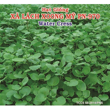 Hạt Giống Xà Lách Xoong Mỹ Phú Nông  hạt chắc khỏe tỉ lệ nẩy mầm cao