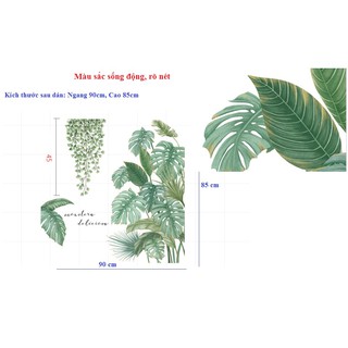 Decal giấy dán tường [MẪU MỚI] Decan Hoa dại