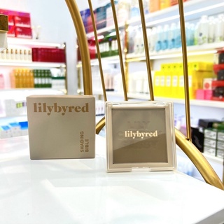 PHẤN TẠO KHỐI LILYBYRED SHADING BIBLE