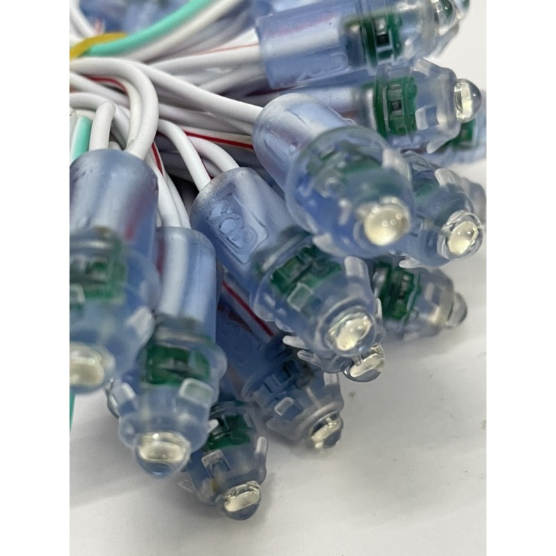 2 Dây Led Đúc F5 XQD ( 100 Con ) - Chính Hãng Công Ty