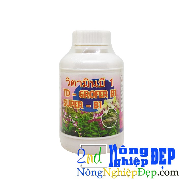 Vitamin B1 Grofer Thái Lan 100ml