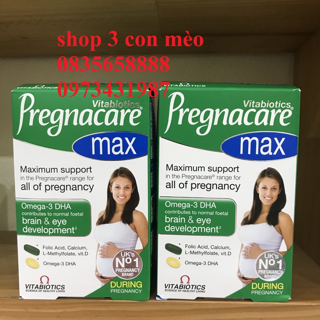 Bâ`u Plus &amp; Max
