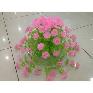 Bộ hoa lua