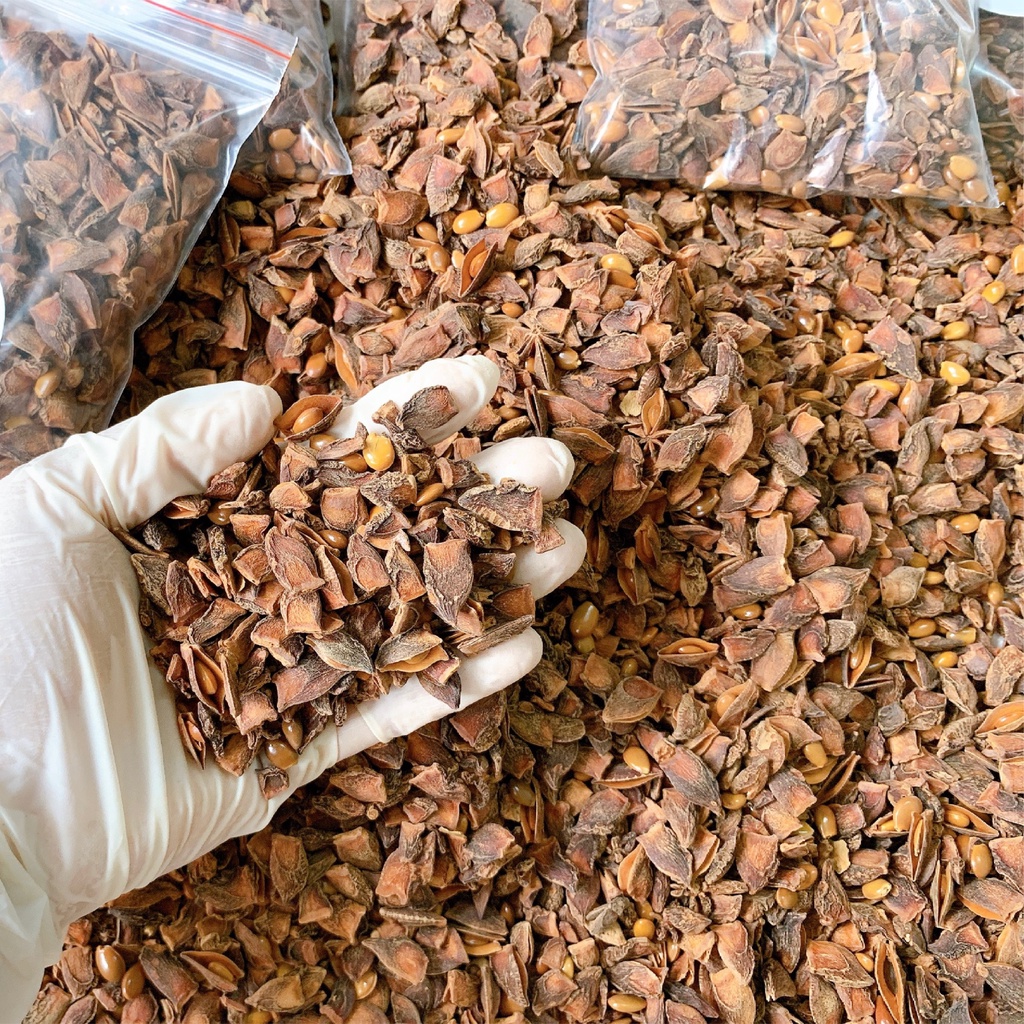 Hoa hồi vụn 100gr nguyên chất Lạng Sơn BH Spices 100gr chế biến thực phẩm BHS002