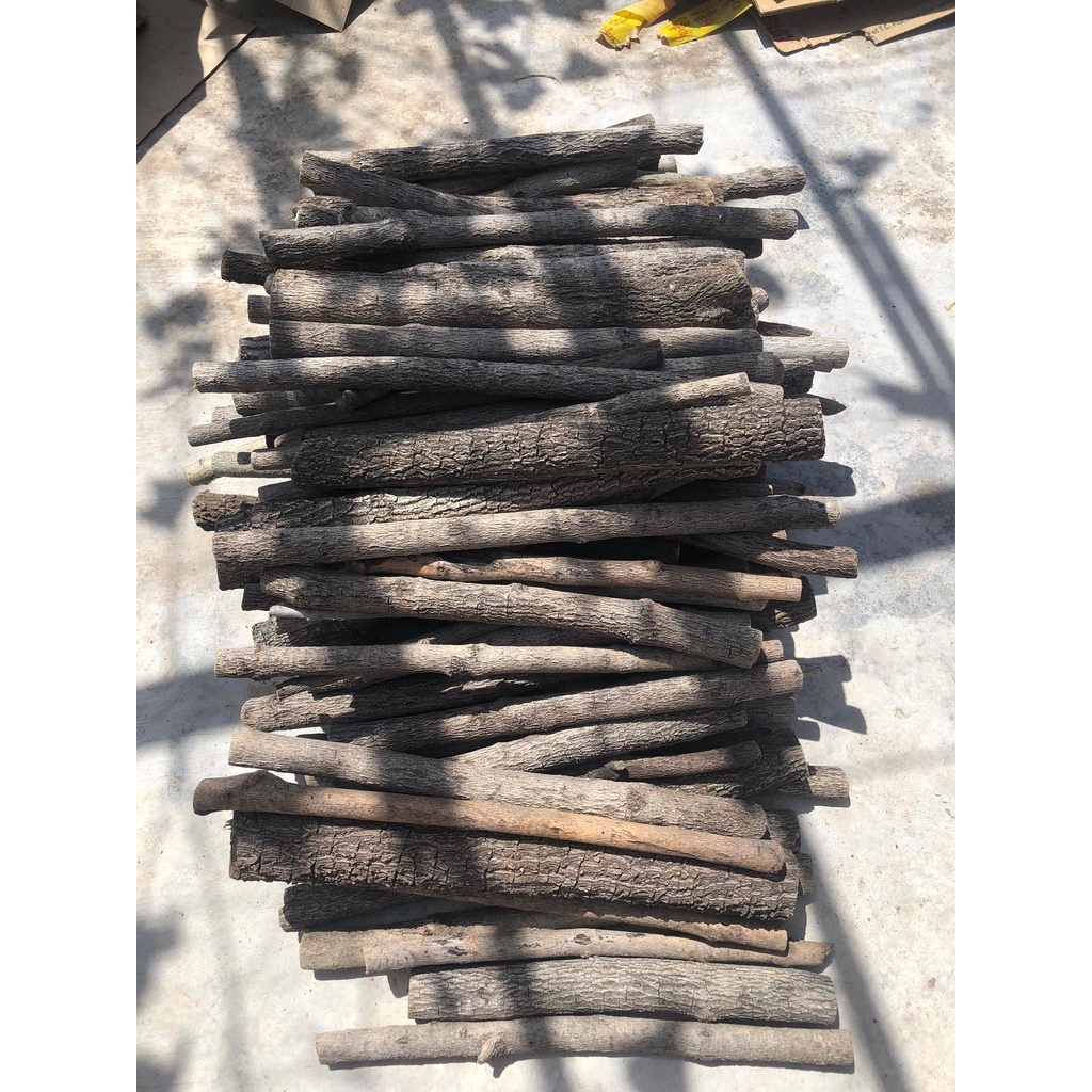 LŨA THẠCH SÙNG CÓ VÕ - CHUYÊN SET UP LAYOUT RỪNG BỂ THỦY SINH 1KG - LŨA THẴNG ĐẸP