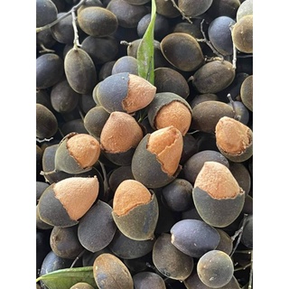 Say Nhung Rừng (1kg) quả to bột nhiều, ít hư