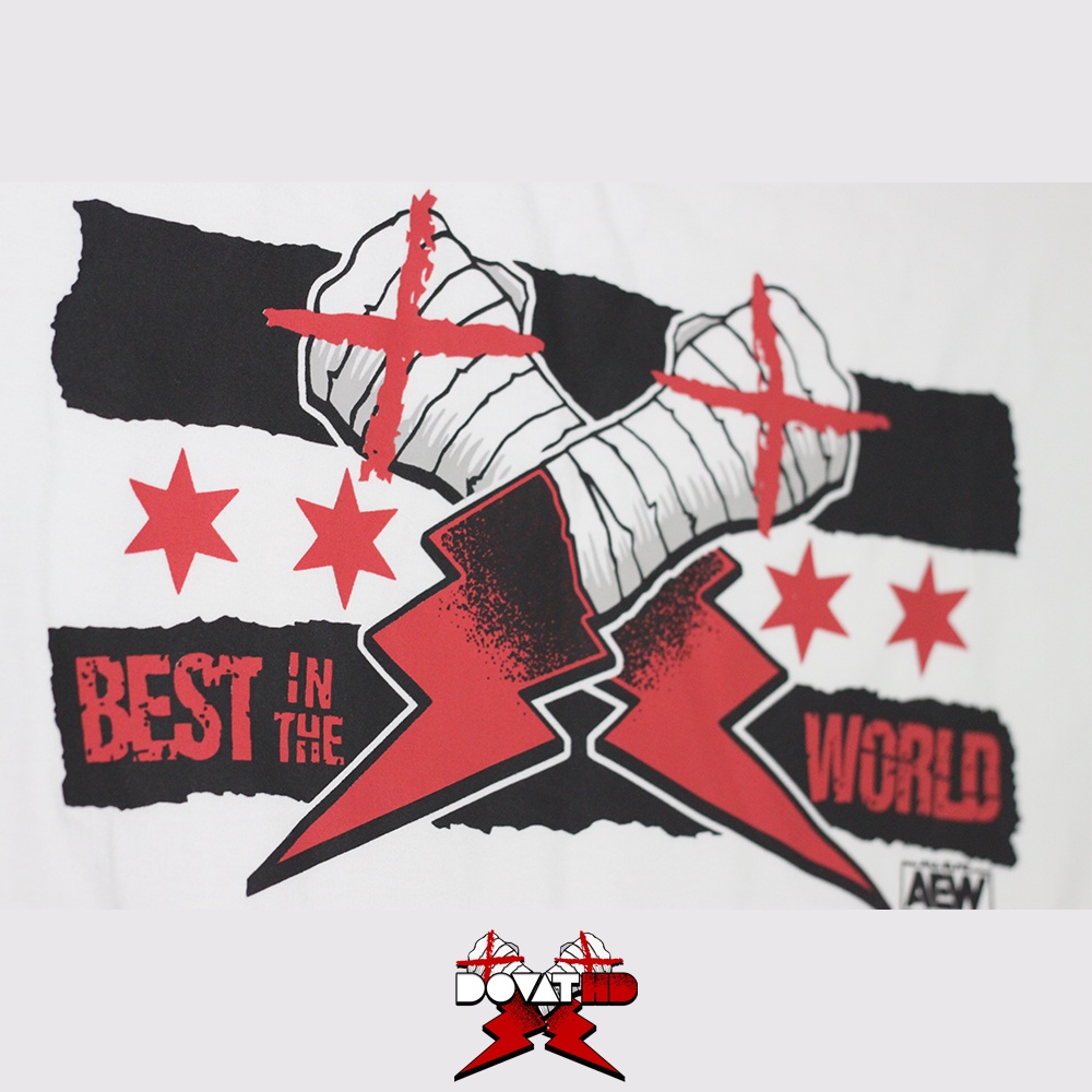 Áo thun UNISEX cổ tròn HDVERSE CM Punk Tee WWE vải cotton thoáng mát, form cổ điển
