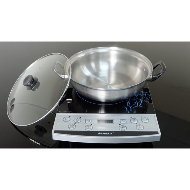 Bếp từ đơn sanaky ICP 17A