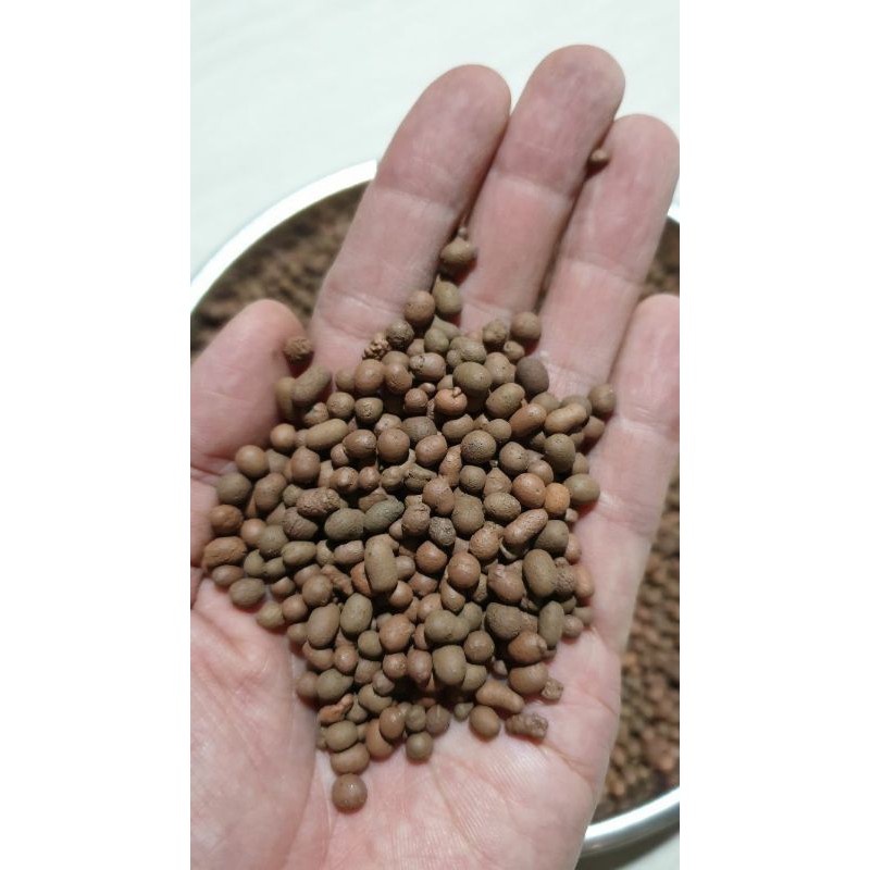 Đất nung - sỏi nhẹ size S - 1kg