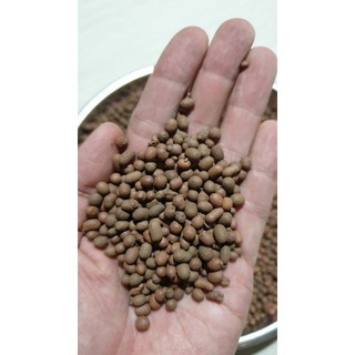 Đất nung - sỏi nhẹ size S - 1kg