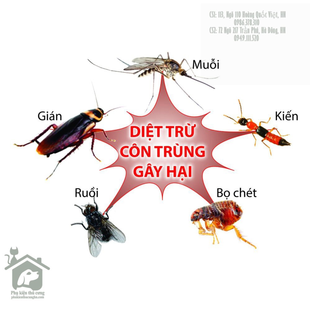 Bán FENDONA 10SC lọ 50ml - diệt muỗi, kiến, gián hiệu quả hàng nhập, phân phối trong nước bởi thietbinhavuon.