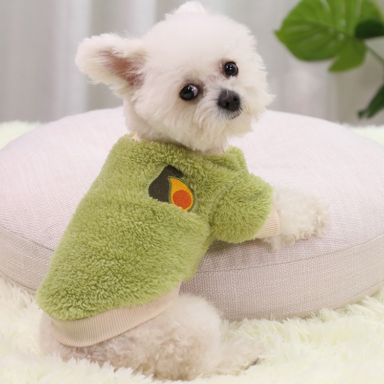 Áo ấm cho chó mèo - Áo sweater thêu họa tiết trái cây hoạt hình giữ ấm mùa đông cho thú cưng