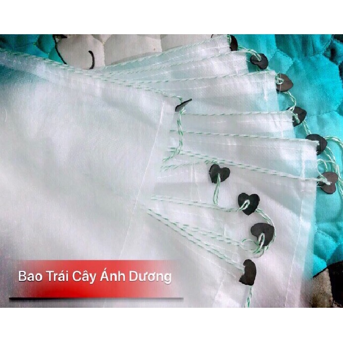 Set 10 Túi bao bọc trái cây 3 kích thước_Bao bọc bưởi, ổi, dưa, xoài, cam chống ruồi vàng,côn trùng, sương muối