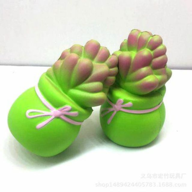 Squishy chậu cây siêu mềm và chậm tăng