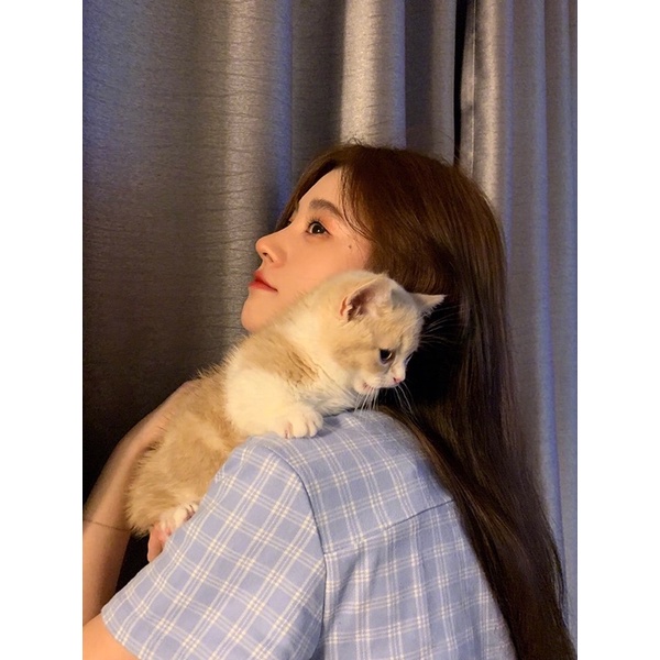 Đầm kẻ caro màu xanh pastel giống Cúc Tịnh Y