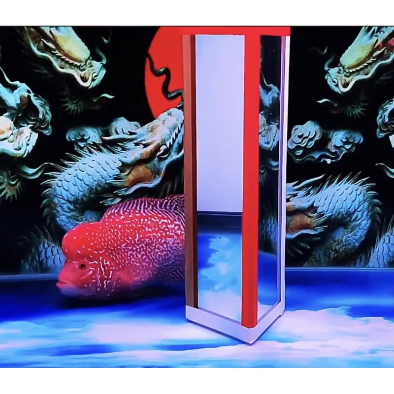 Kính kè cá la hán