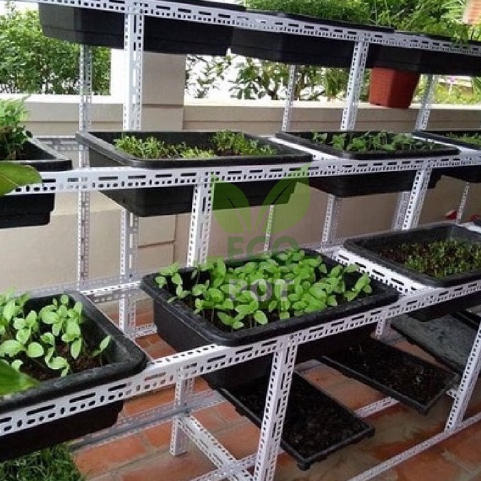 Khay nhựa trồng rau sạch tại nhà