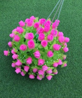 Hoa hồng gấm