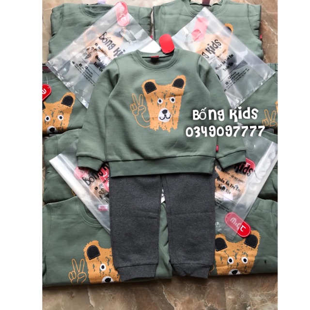 Bộ Nỉ Bé Trai Gấu Xanh Lá Shilav