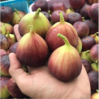 QUẢ SUNG MỸ KHÔ 135g – DAN.D PAK