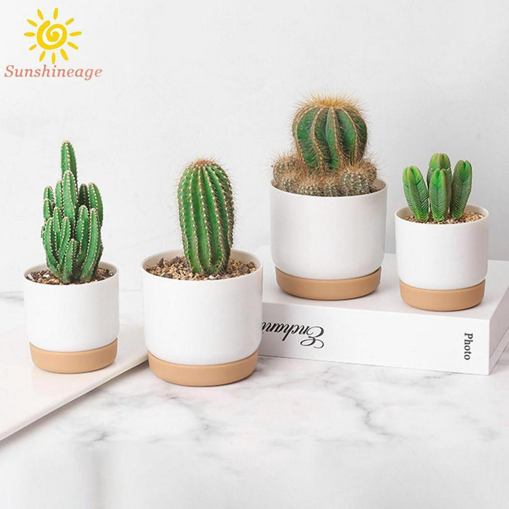 Chậu Hoa Tự Động 90x72mm